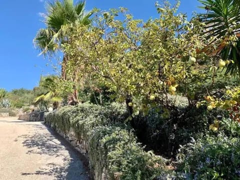 Villa Asteroídea - Tiha Mala Villa in Split-Dalmatia County