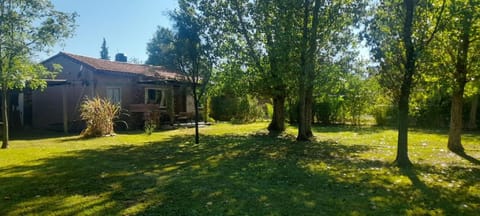 Garden, Garden view, Inner courtyard view