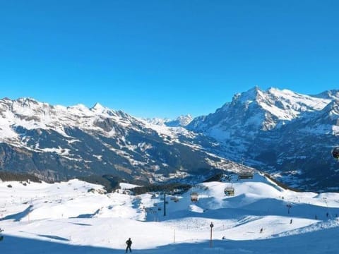 Apartment Aphrodite Ost with magnificent Eiger view Apartment in Grindelwald