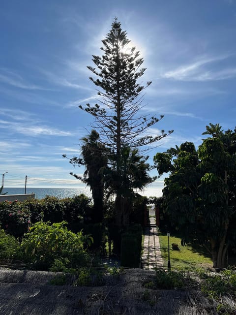 Sea view