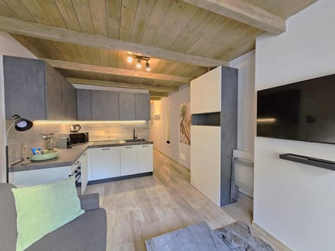 Living room, kitchen