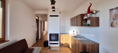 Kitchen or kitchenette, Living room, Photo of the whole room, Seating area, Evening entertainment, fireplace
