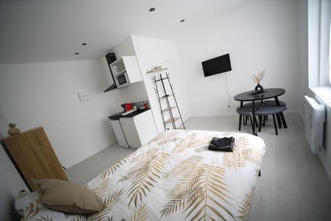 Paul Bert-3 Apartment in Cambrai