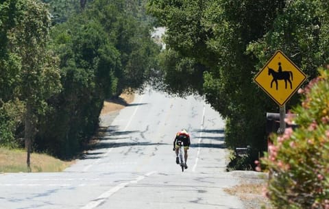 Gorgeous Retreat 5 Acres Paradise Villa in Woodside