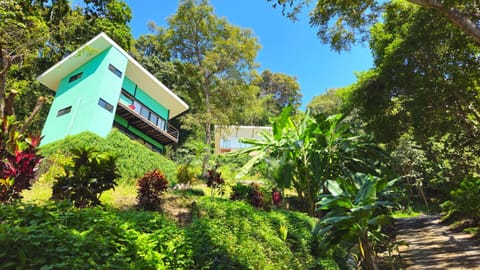 Property building, Day