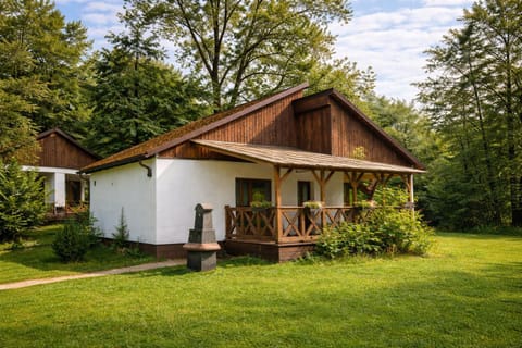 Property building, Spring, Day, Natural landscape, Garden, Garden view