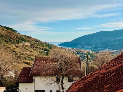 Tara Deluxe Apartment in Dubrovnik-Neretva County