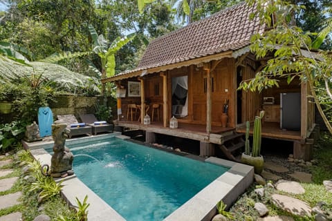 Property building, Patio, Day, Garden, Garden view, Pool view, Swimming pool, sunbed