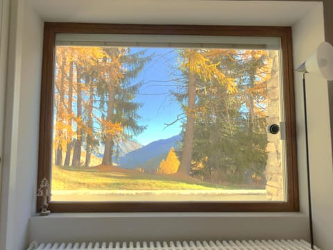 Natural landscape, View (from property/room), Seasons