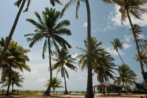 Day, Natural landscape, Garden, Garden view, Sea view