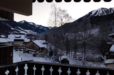 Appartement Abondance Apartment in Haute-Savoie