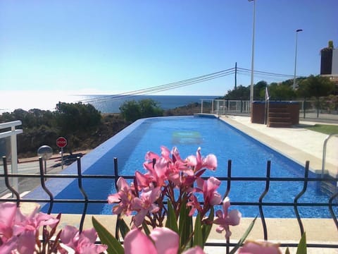 Day, Swimming pool, Swimming pool