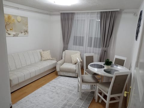 Apartman Milosavljević Apartment in Serbia