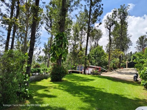 Garden, Garden, Garden view