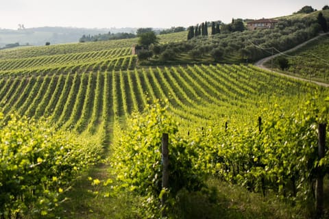 Natural landscape