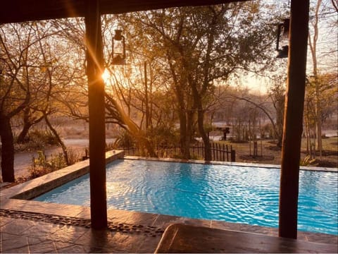 Natural landscape, Pool view, Swimming pool, Sunrise