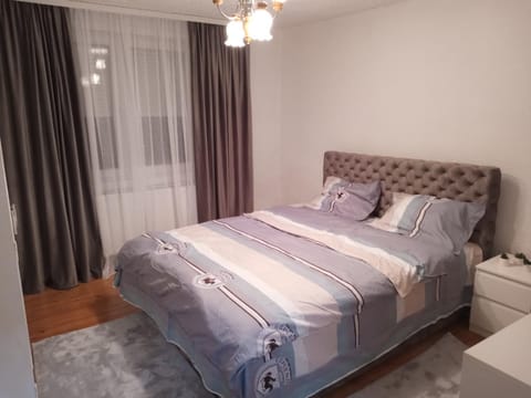 Apartman Milosavljević Apartment in Serbia