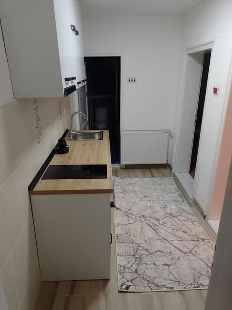 Apartman Milosavljević Apartment in Serbia