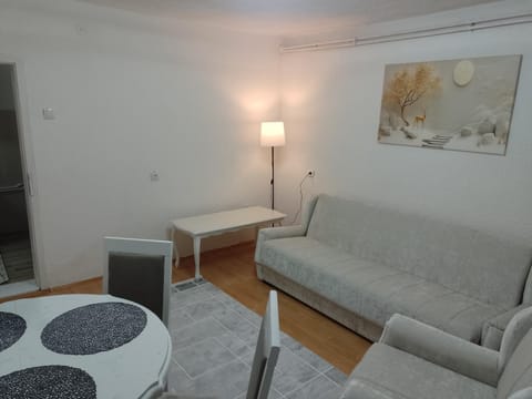 Apartman Milosavljević Apartment in Serbia