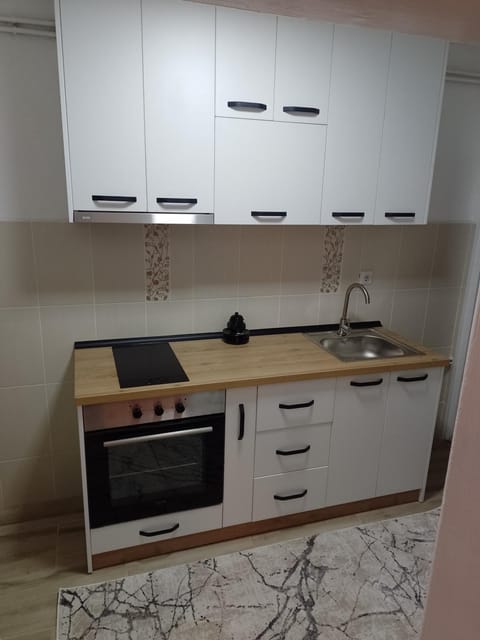Apartman Milosavljević Apartment in Serbia
