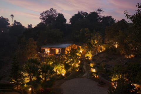 Property building, Night, Natural landscape, Garden, Garden view