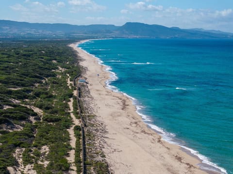 Property building, Spring, Summer, Autumn