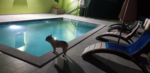 Swimming pool, sunbed