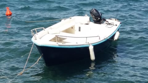 Casa sul mare 1 Apartment in Ischia