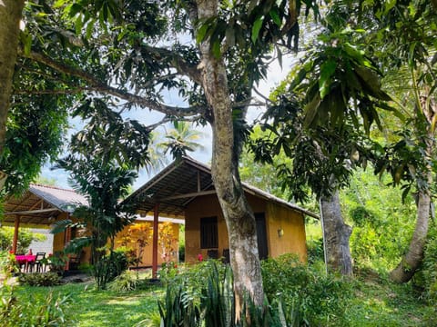 Property building, Garden, Garden view
