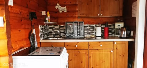 Hamishs log cabin Cabin in Trawsfynydd