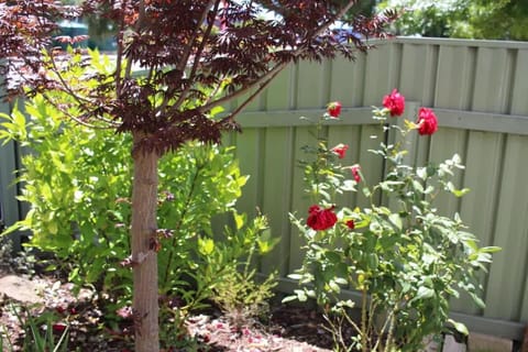 Little Gem City Cottage House in Launceston