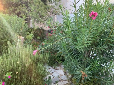 KERYLOS , au cœur de Parikia, avec jardin House in Paros