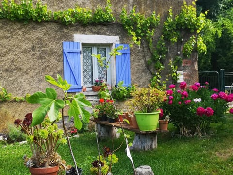Property building, Spring, Garden