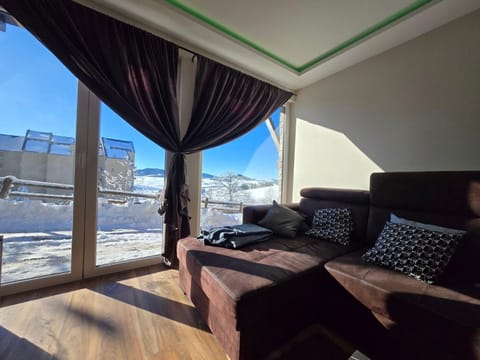 Lux pine house Apartment Apartment in Zlatibor