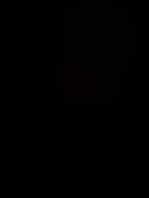 Spacieux Studio au Coeur de Genève Apartment in Geneva