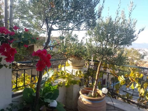 Nanny's Guest House in Plaka Villa in Plaka