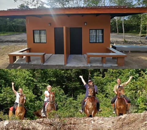 Farm Bungalow Vacation rental in Krabi Changwat