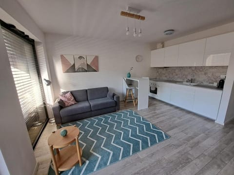 Kitchen or kitchenette, Living room, Photo of the whole room, Bedroom, minibar, stove