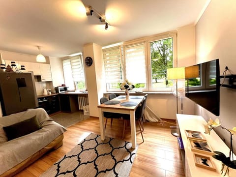 Communal lounge/ TV room, TV and multimedia, Kitchen or kitchenette, Seating area, Dining area