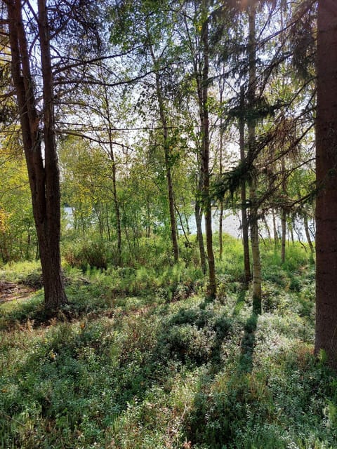 Villa Tammukka Chalet in Lapland