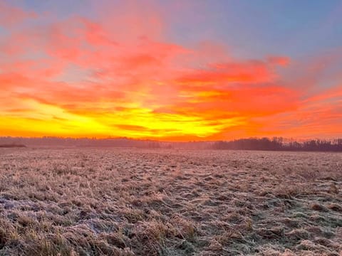 Casa de Rowosz - domki i apartamenty nad morzem House in Pomeranian Voivodeship