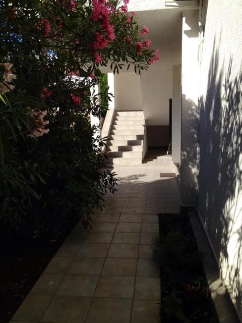 Facade/entrance, Garden