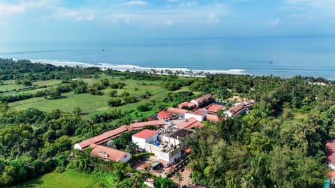 Natural landscape, Bird's eye view, Beach