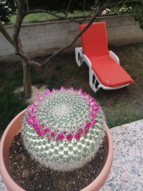 Apartments Purkovic Apartment in Šibenik-Knin County, Croatia