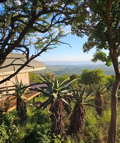 Natural landscape, Garden view, Mountain view
