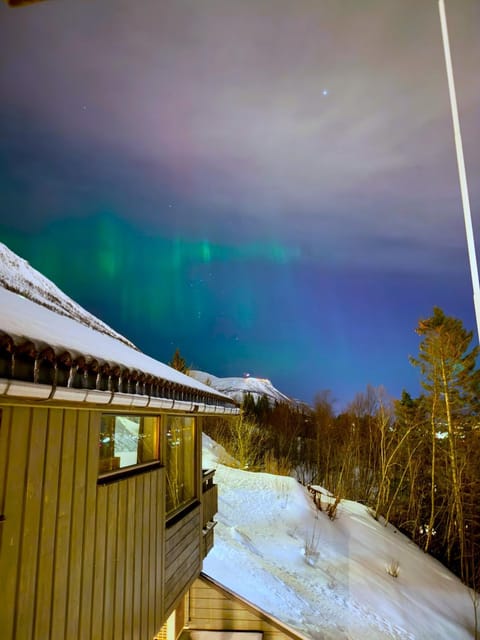 Night, Natural landscape, Winter, View (from property/room), View (from property/room), City view