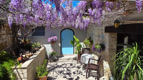Garden view, Inner courtyard view