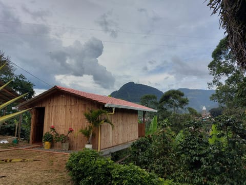 Property building, Garden view