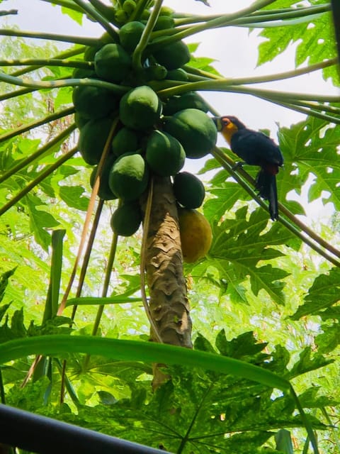 Apartment 2 at Casa Danni Apartment in Rio de Janeiro