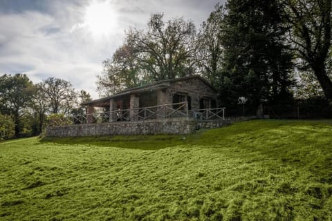 Property building, Garden, Garden view